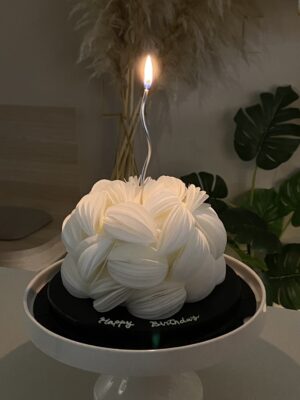 糯米紙 韓國短尾矮袋鼠